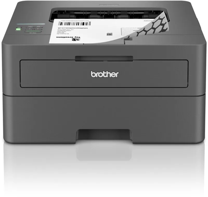 HL-L2445DW - Single Function Laserprinter - Zwart-Wit Printer van Brother in Zwart – productfoto