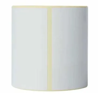 voorgesneden etiketten voor direct thermisch printen, ft 102 x 152 mm, pak van 350 etiketten van Brother – productfoto 3 van 4