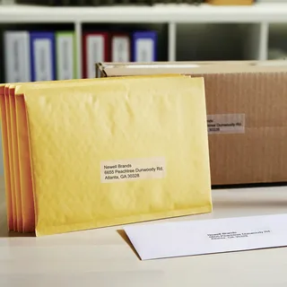Etiket Dymo LabelWriter adressering 36x89mm 2 rollen á 130 stuks transparant de DYMO – photo produit 2 sur 3