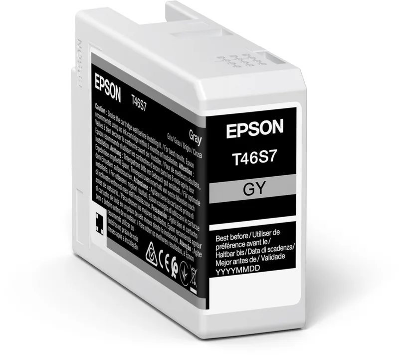 Original Ink Cartridge Epson C13T46S700 25 ml Black by Epson in Grey – product photo